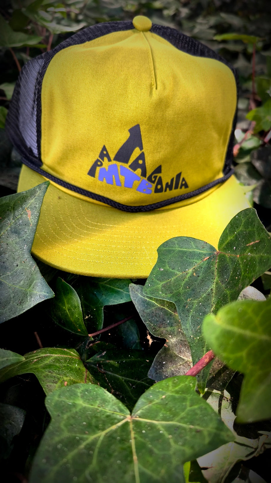 Gorra Airfarer